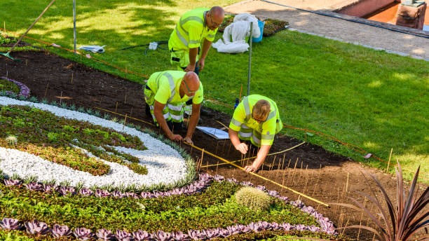 Construção de jardins