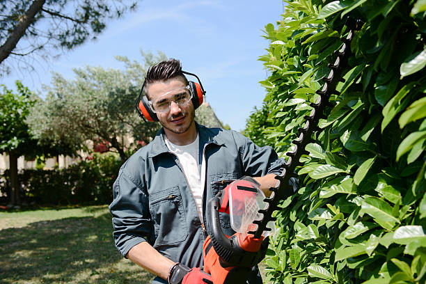 Empresa jardinagem e paisagismo