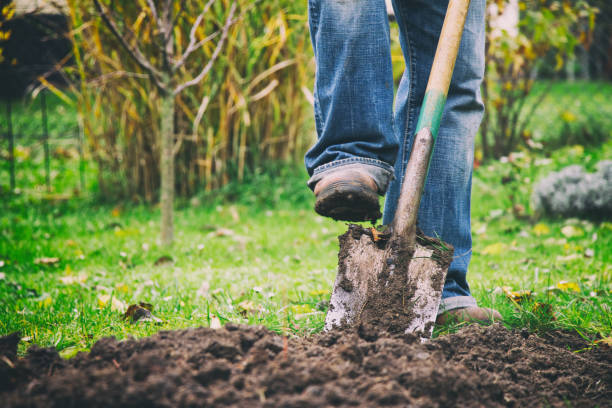 Empresa de jardinagem em porto alegre