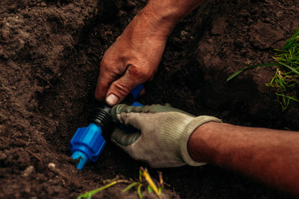 Irrigação por gotejamento projeto