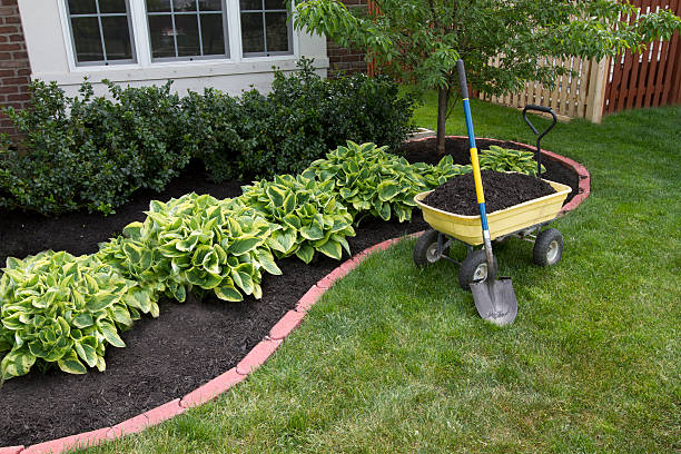Jardinagem em casa
