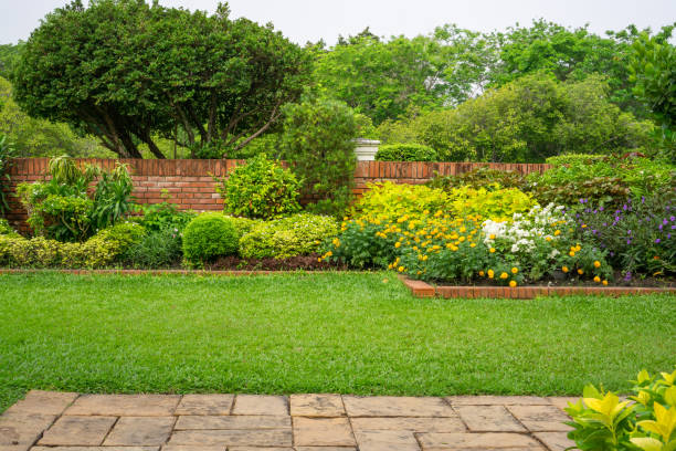Jardinagem e paisagismo no quintal em Porto Alegre