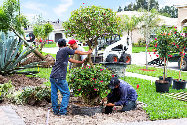 Jardinagem residencial no Vale do Taquari