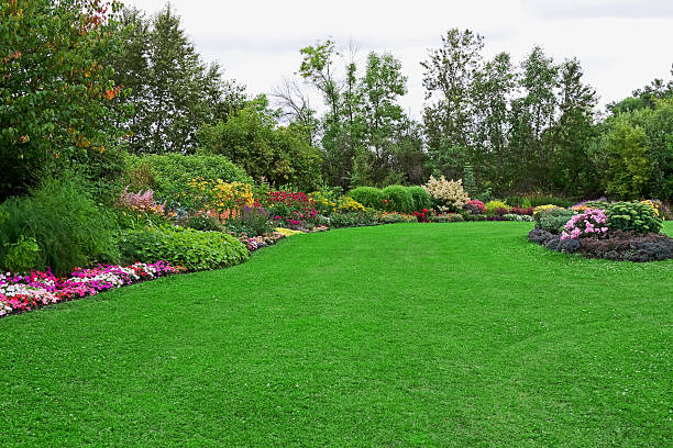 Jardins paisagismo casas