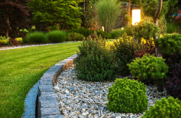 Serviços de paisagismo e jardinagem