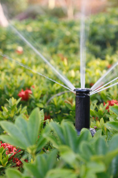 Sistema irrigação jardim automatizado