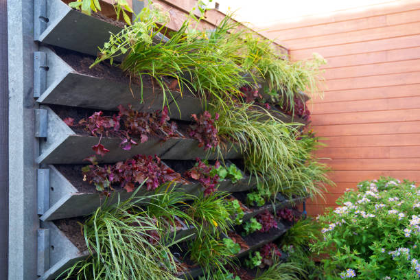 Sistema irrigação jardim vertical
